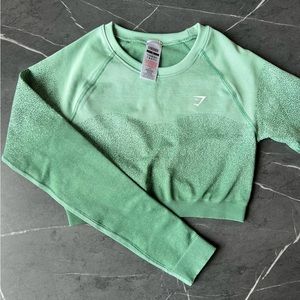 Gymshark Adapt Ombre Seamless Long Sleeve Crop Top - Green/Light Green